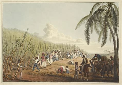 The Conquest of the Guianas; A Portuguese Expansion Fueled by Sugar and Slavery